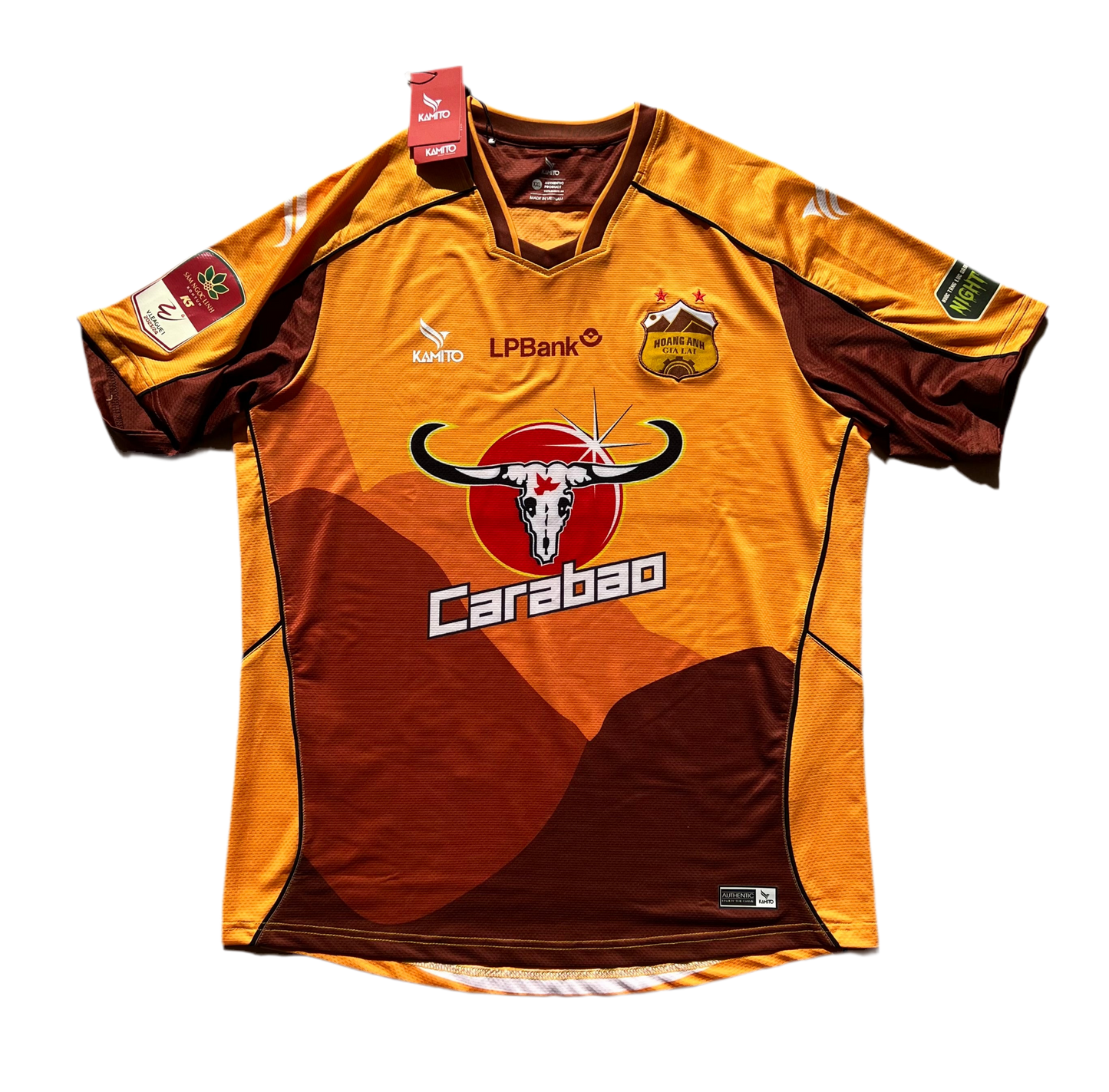 Hoang Anh Gia Lai FC 2023