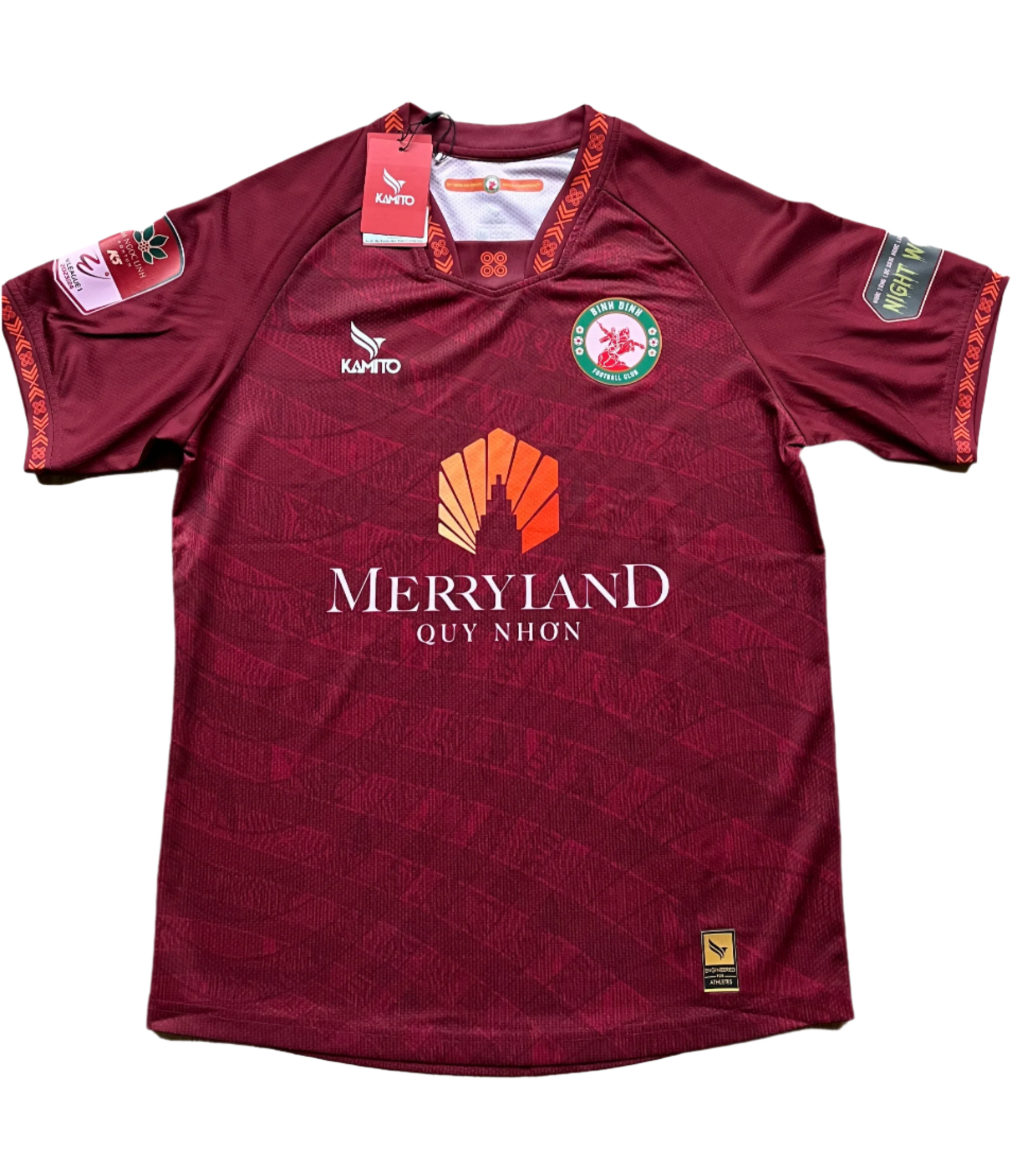 Binh Dinh FC